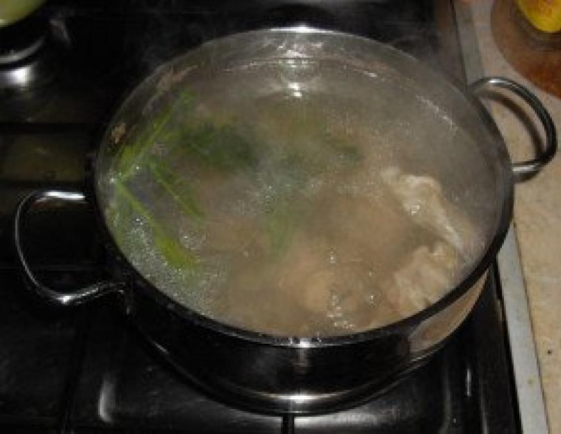 Как приготовить вкусный суп харчо. Классический рецепт приготовления «супа Харчо» из говядины с фото